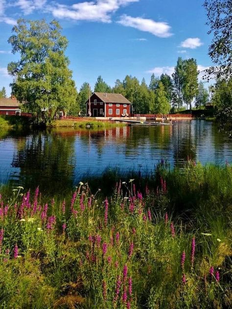 Sweden Aesthetic Summer, Swedish Summer Aesthetic, Swedish Cabin, Swedish Aesthetic, Sweden Aesthetic, Swedish Summer, Scandinavian Summer, Scandinavian Aesthetic, Sweden Travel