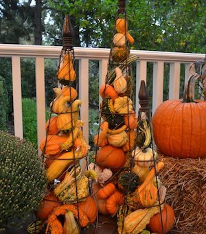 Get your yard ready for Fall with these cheap and easy outdoor fall decor ideas.  Whether it’s a yard, garden, or porch display, you’re sure to find beautiful fall inspiration for your home here. DIY Outdoor Pumpkins trash bag + plastic bags + newspaper + tape + latex paint + urethane + pipe + urn … Creative Pumpkin Decorating, Pumpkins And Gourds, Diy Home Decor For Apartments, Outside Fall Decor, Creative Pumpkins, Dekor Diy, Tomato Cages, Fall Arrangements, Fall Deco