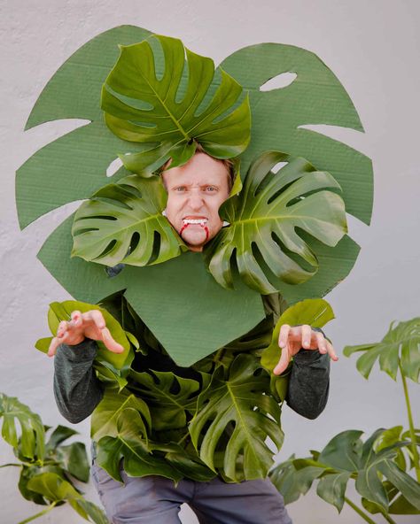 3 DIY Botanical-Themed Halloween Costumes - In Bloom Florist Blog Halloween Plant Costume, Garden Theme Halloween Costumes, Upcycled Halloween Costumes, Plant Halloween Costumes Diy, Plant Costume Kids, Flora And Fauna Costume, Tropical Halloween Costume, Crazy Plant Lady Costume, Diy Plant Costume