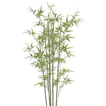 bamboo,bamboo-tree,bamboo-plant,green-bamboo,nature,green,flower,floral,tree,foliage,leaves,leaf,plant,watercolor,organic,3d,icon,blossom,background,bush,texture,grass,natural,summer,spring,chinese,fresh,eco,realistic,art Watercolor Bamboo, Bamboo Image, Blossom Background, Plant Watercolor, Plant Png, Bamboo In Pots, Japan Hotel, Foliage Leaves, Floral Tree