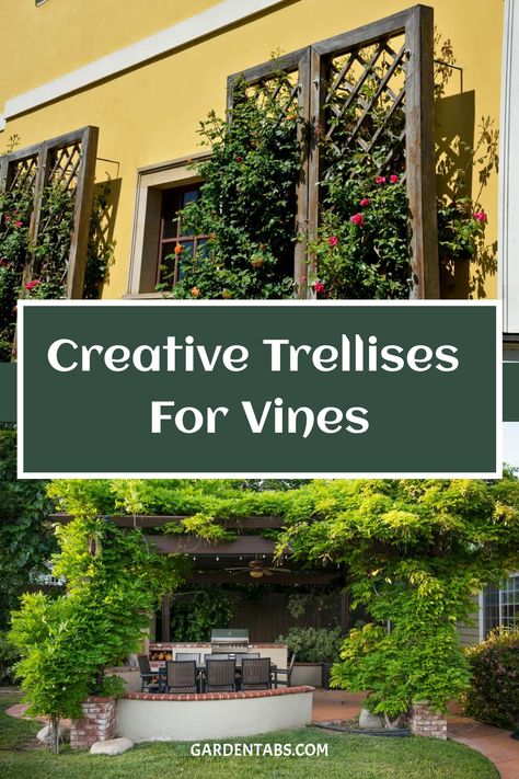 Creative Trellises for Vines Trellis Ideas For Privacy Climbing Vines, Vines On Trellis, Wall Trellis Ideas, Trellis Ideas Diy Climbing Vines, Honeysuckle Trellis, Trellis Ideas For Privacy, Unique Trellis, Ivy Trellis, Backyard Trellis