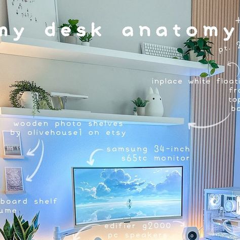 Coolkiller Keyboard, Desk Anatomy, Biscuit Cushion, Aesthetic Desk Setup, Anatomy Aesthetic, Keyboard Shelf, 3 Drawer File Cabinet, Desk Plants, Desk Styling