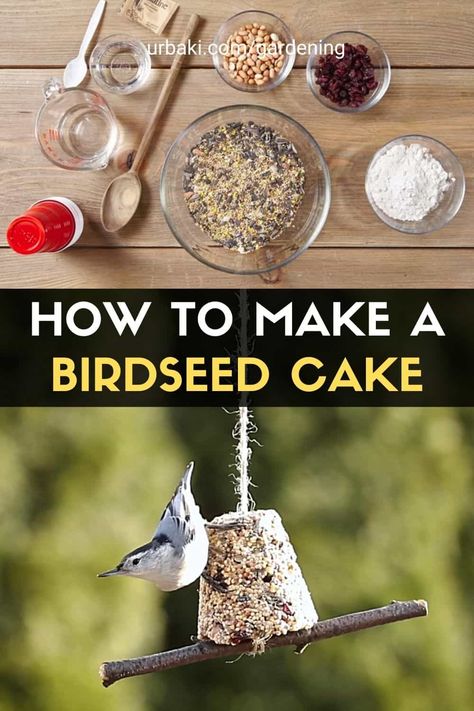 Fast & Easy-to-make birdseed cake! Follow our video for steps and materials to create your own birdfeeders. #urbakigardening #gardening #birdseedcake #bird #birdfeeders Diy Birdfeeders Homemade Kids, Bird Seed Ornaments Recipe, Bird Feeders For Kids To Make, Winter Bird Feeders, Backyard Birds Watching, Pine Cone Bird Feeder, Bird Feeder Craft, Bird Seed Ornaments, Bird Seed Feeders