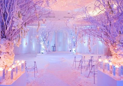 en la entradaaaaa Cheapest Wedding, Wonderland Wedding Theme, Winter Wonderland Theme, Wedding Wonderland, Strictly Weddings, Winter Wonderland Wedding, Wonderland Wedding, Wedding Ceremony Decorations, Ceremony Decorations