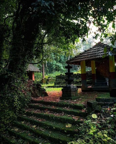 Kerala Village, Kerala Aesthetic, Kerala Nature, Kerala Traditional House, Kerala Architecture, Indian Temple Architecture, Village Photos, Watercolor Paintings Nature, Kerala Houses