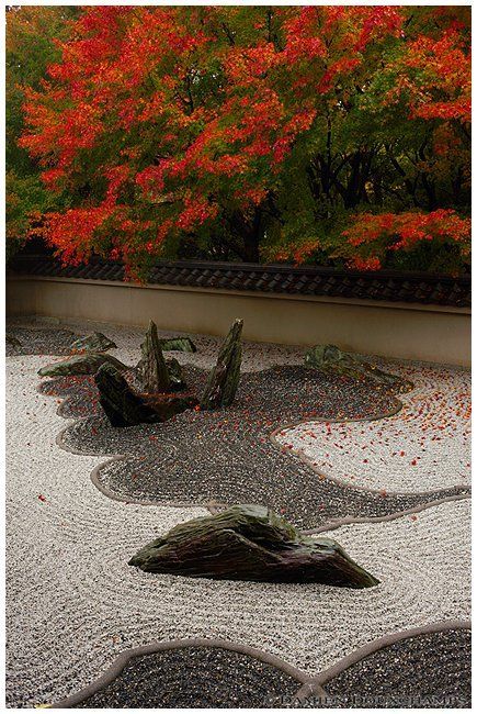 Dry Landscape, Temple Building, Japanese Rock Garden, Japanese Style Garden, Zen Rock Garden, Japanese Garden Landscape, Gravel Landscaping, Zen Garden Design, Japanese Zen Garden