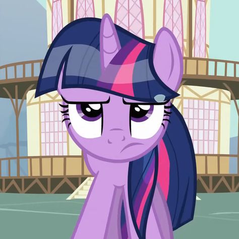 twilight sparkle icon, twilight sparkle pfp, my little pony icon, my little pony pfp, mlp icon, mlp pfp Twilight Sparkle Icon Pony, Twilight My Little Pony, Twilight Sparkle Pfp, Twilight Family, My Little Pony Icon, My Little Pony Pfp, Twilight Sparkle Icon, Sparkle Icon, Mlp Pfp