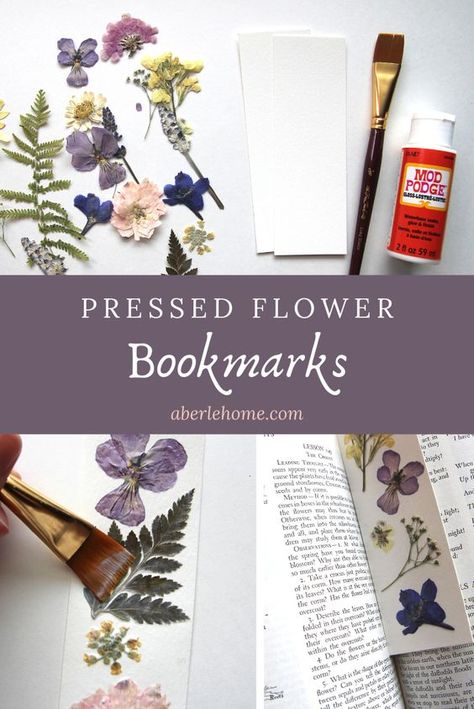 Pressed Flower Bookmarks, Summer Bookmarks, Homeschool Nature, Pressed Flowers Diy, Flower Bookmarks, Homeschool Nature Study, Dried Flowers Diy, Nature Craft, Pressed Flower Crafts