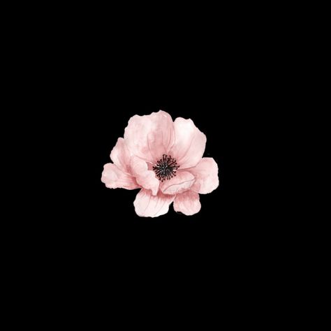 Bow Wallpaper Iphone, Vintage Space Art, Flowers Black Background, Flower App, Flower Background Design, Apple Iphone Wallpaper Hd, Bow Wallpaper, Flower Icons, Cute App