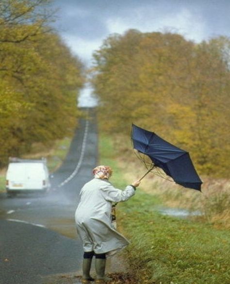 show pics and have them come up with a sentence to go along with it. journals-have them write their sentence Wild Is The Wind, Blowin' In The Wind, I Love Rain, Windy Weather, British Weather, Love Rain, Walking In The Rain, Rainy Night, Stormy Weather