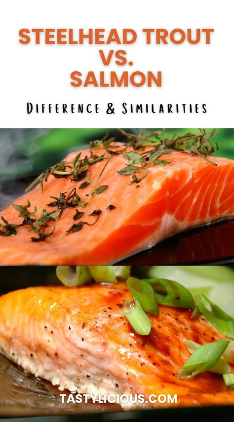 This article will help you differentiate steelhead trout from salmon and guide you on which fish meat is best for you. steelhead trout vs salmon taste | steelhead trout recipe | steelhead trout vs salmon health benefits | food hacks | cooking tips | kitchen hacks | cooking 101 | Healthy eating | brunch ideas Steel Head Trout Recipes Grilled, Cooking Steelhead Trout, Grilled Steelhead Trout, Steel Trout Recipes, Recipes For Steelhead Trout, How To Cook Steelhead Trout, Steelhead Salmon Recipes, Smoked Steelhead Trout Recipe, Steel Head Trout Recipes Baked