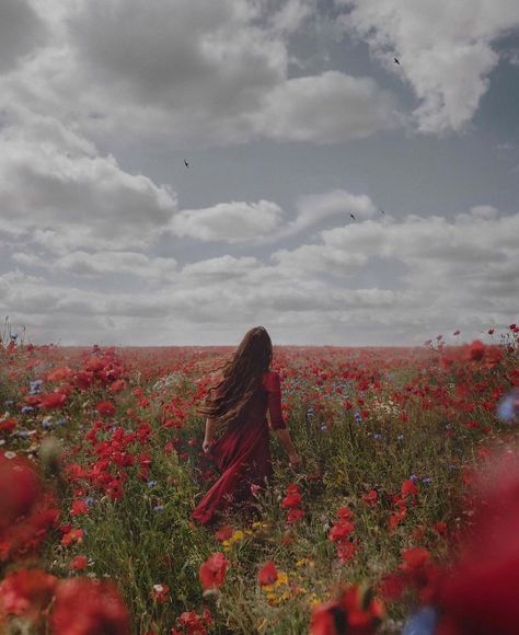 Wildflowers Photography, Bees And Butterflies, Wildflower Field, Flower Photoshoot, Dreamy Photography, Fairytale Photography, Visual Aesthetics, Cute Photography, Poppy Field