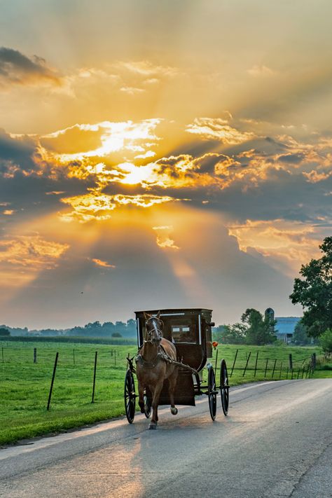 Indiana Amish buggy with sun in the background Amish Town, Candy Ice Cream, Elkhart Indiana, Types Of Siding, Amish Community, Ohio Travel, Northern Indiana, Sea To Shining Sea, Amish Country