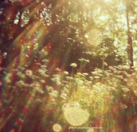 Cinematic Photography, Nature Aesthetic, The Field, Summer Aesthetic, Pretty Pictures, Mother Nature, Dream Life, Aesthetic Pictures, Summer Vibes