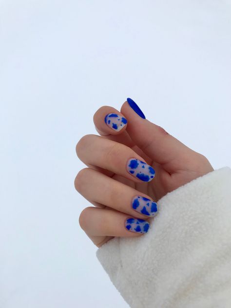 Blue Cowprint Nails, Blue Cow Nails, Blue Cow Print Nails, Bright Blue Nails, Tiny Canvas, Dark Blue Nails, Cow Nails, Blue Cow, Blue Acrylic Nails