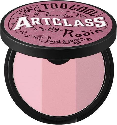 TOO COOL FOR SCHOOL Face Blush Powder for Natural Makeup (De Mauve, 30 g) : Amazon.ca: Beauty & Personal Care Cool Tone Blush, Artclass By Rodin, Olive Skin Lipstick, Mac Lipstick Swatches, Drugstore Lips, Budget Makeup, Lipstick For Dark Skin, Best Eyeshadow Palette, Lipstick For Fair Skin