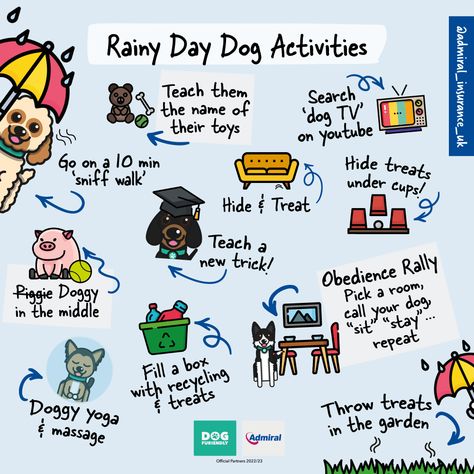 Rain! ☔ Does your dog love it or hate it? Many of us wish for a white Christmas... but the reality of our British weather often means it's wet and well...grey! 😶‍🌫️ The wet weather and darker nights tend to result in shorter or skipped dog walks. But did you know, that same energy can be released at home through mental stimulation? Also, not all dogs enjoy the rain, some will refuse to step their princely paws out in the wet weather. 👑 Rainy Day Dog Activities, Activities To Do With Your Dog, Activities With Dogs, Things To Do With Dogs, Mental Stimulation For Dogs, Dog Infographic, Puppy Mom, Same Energy, Dog Enrichment