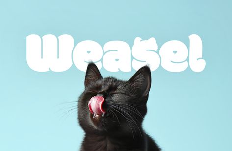 Weasel, Cats food Brand Identity Animal Feed Logo, Cat Branding Design, Pet Brand Identity, Cat Food Branding, Cat Food Design Packaging, Best Cat Food Brands, Kids Packaging, Cat Food Brands, Cat Shelter