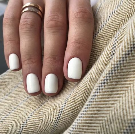 White Short Gel Nails, Short Nail White, Bio Sculpture Gel Nails, White Gel Nails, Natural Gel Nails, Gel Toe Nails, Short Gel Nails, Winter Nails Acrylic, Simple Gel Nails