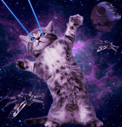 Space cat Trippy Cat, Wallpaper Gatos, Cat Laser, Hipster Cat, Galaxy Cat, Cat Background, Owning A Cat, Space Cat, Street Art Graffiti