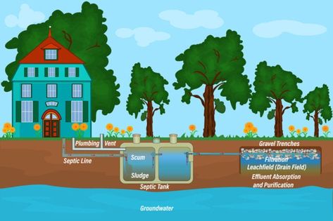 Raised Septic Tank Landscaping, Leach Field, Plumbing Vent, Holly Shrub, Septic Tank Systems, Septic Systems, Growing Grass, Bob Vila, Diy Fire Pit