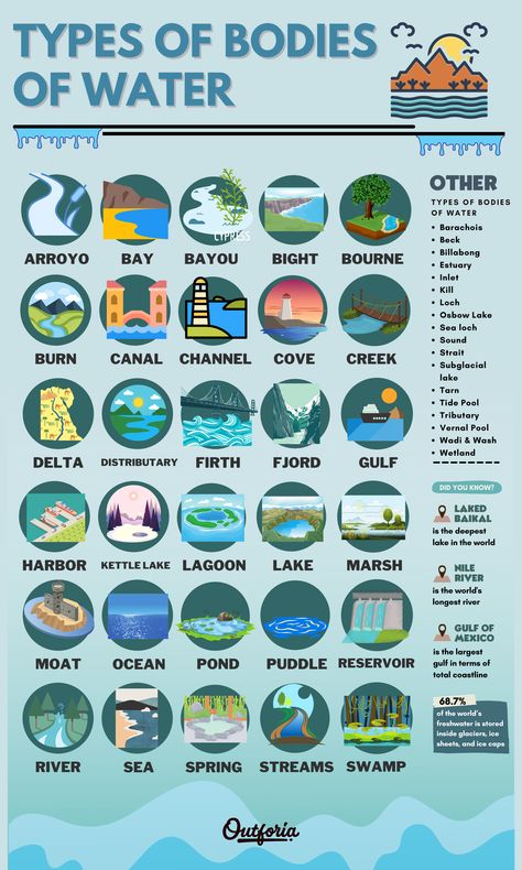 What Is My Body Type, Landforms And Bodies Of Water, Basic Geography, Vernal Pool, Healthy Remedies, Teaching Geography, Bodies Of Water, Geography Lessons, Water Pictures