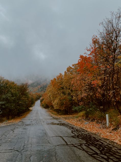 Fall autumn Early Fall Aesthetic, Folk Aesthetic, Fall Widgets, Autumn Photos, October Sky, Smell Of Rain, Fall Mood Board, Autumn Scenes, Fall Inspo