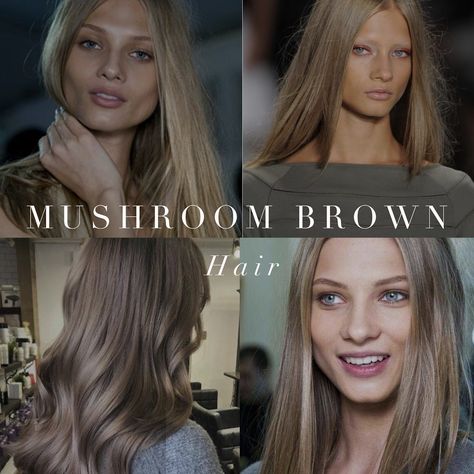 Mushroom Brown hair options for cool toned colour seasons. Cool Toned Hair, Palette Hair Color, Cool Toned Blonde Hair, Summer Skin Tone, Winter Blonde Hair, Toned Hair, Winter Blonde, Skin Tone Hair Color, Colour Analysis