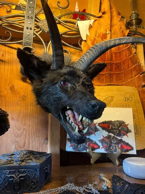 Cool Taxidermy, Taxidermy Art Weird, Fantasy Taxidermy, Bad Taxidermy, Poison Tree, Taxidermy Display, Taxidermy Art, Weird Stuff, Taxidermy