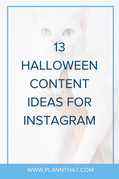 Looking for Halloween Content Ideas for Instagram? We've got you covered!  #Halloween #HalloweenContent #InstagramHalloween Halloween Content Ideas, Content Ideas For Instagram, Halloween Promotions, Ideas For Instagram, Instagram Marketing Tips, Instagram Engagement, Instagram Giveaway, Halloween Animals, Creative Instagram Stories