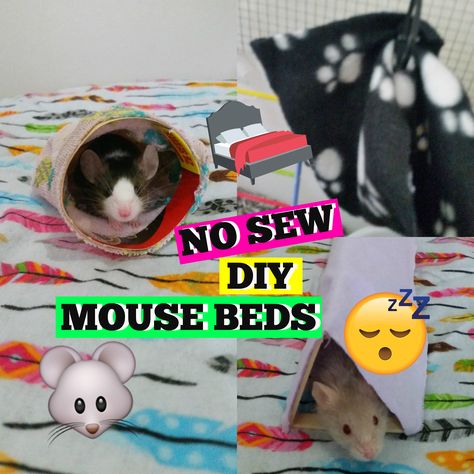 Easy DIY Mouse Bed Tutorial Mouse Enrichment Diy, Mouse Enrichment, Diy Mouse Toys Pet Mice, Pet Mouse Diy, Pet Mouse Cage, Diy Mouse Cage, Diy Mouse Toys, Pet Mouse, Diy Rat Toys