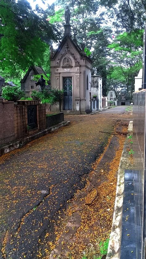 Cemitério do Araçá São Paulo Brasil Night In The Woods, Cemetery Art, Space Backgrounds, Liminal Spaces, Pinturas Disney, Coraline, Graveyard, Garden Wall, Night In