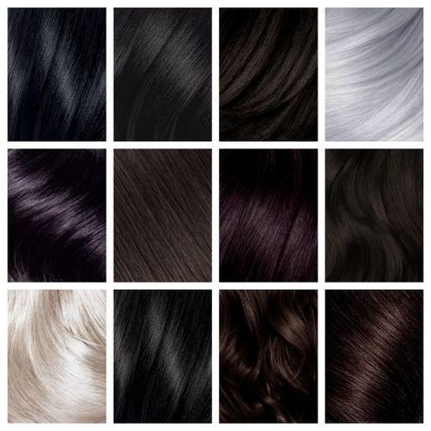 True Winter Hair, Palette Hair Color, True Winter Palette, Color Analysis Winter, True Winter Color Palette, Cool Winter Color Palette, Deep Winter Palette, Winter Hair Colors, Deep Winter Colors