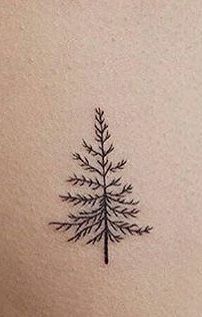 Evergreen Tattoos For Women, Fine Line Evergreen Tattoo, Pine Tree Line Tattoo, Dainty Tats, Tree Line Tattoo, Evergreen Tattoo, Small Nature Tattoo, Sister Tats, Evergreen Tree Tattoo