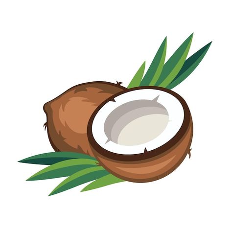 Coconut Images, Chocolate Coconut Slice, Coconut Vector, Coconut Slice, Gcse Art Sketchbook, Coconut Drinks, Hat Vector, Dry Coconut, Pop Posters