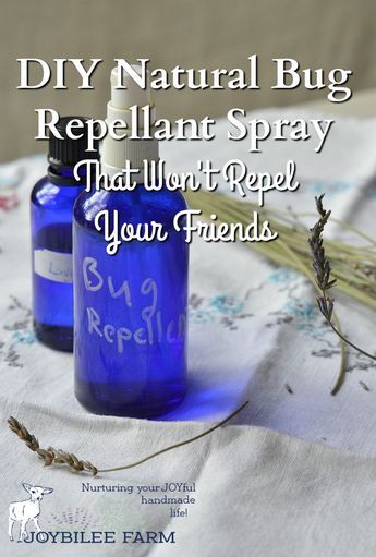 This bug repellent protects against biting flies, mosquitoes, ticks, midges, and black flies. However, note that each essential oil chosen for this blend is not 100% effective for all insect pests. It’s the synergistic blend that covers you against blood sucking insects. Bug Repellent Spray, Mosquito Spray, Fly Spray, Natural Bug Repellent, Natural Repellent, Insect Spray, Essential Oil Spray, Oil Remedies, Fly Repellant