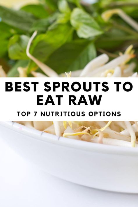 Best Sprouts to Eat Raw: Top 7 Nutritious Options Best Sprouts To Eat, Sprout Recipes Alfalfa, Alfalfa Sprouts Recipes, Bean Sprout Recipes, Microgreens Recipe, Pigs Eating, More Nutrition, Health Facts Food, Alfalfa Sprouts