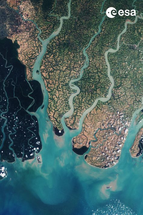 Sundarbans Forest, Bay Of Bengal, River Delta, National Animal, Mangrove Forest, River Basin, West Bengal, Earth From Space, Dark Shades