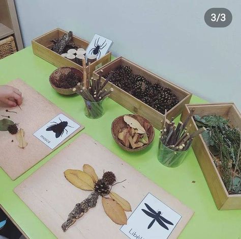 Insects Reggio Emilia, Reggio Bug Activities, Forest School Ideas Preschool, Bugs Eyfs Activities, Bug Provocations Preschool, Insect Activities For Kindergarten, Preschool Forest Activities, Forest Activities For Preschool, Regio Emilia Activities