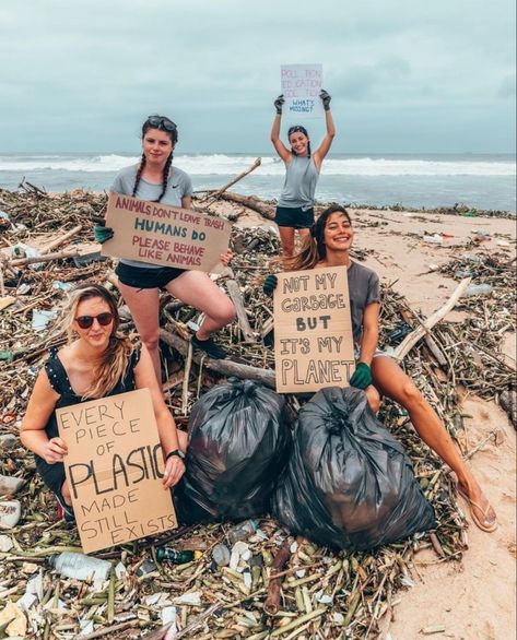 4ecosystem on instagram Pta Events, Beach Clean Up, Wildlife Biologist, Ocean Pollution, Clean Beach, Marine Biologist, Marine Conservation, Our Earth, Ocean Conservation