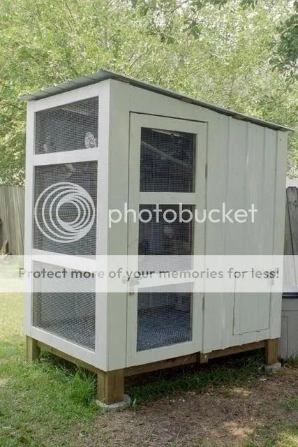 Raising Pigeons/Pigeon Coop | RetrieverTraining.Net - the RTF Pigeon Coop, Pigeon Loft Design, Pigeon Loft, Wire Bins, Outside Lands, Cement Floor, Brick Flooring, Loft Design, Nesting Boxes