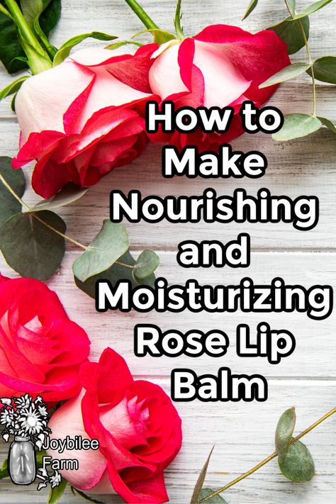 This easy lip balm takes advantage of the natural nurishing and moisturizing properties of various oils and beeswax, with the added sweetness of rose geranium essential oil. Learn how to make lip balm with this basic recipe, try other essential oils to customize it if you wish. Easy Lip Balm, Winter Lip Balm, Tincture Recipes, Herbal Gifts, Lip Gloss Recipe, Make Lip Balm, Lip Balm Recipe, Lip Salve, Balm Recipe