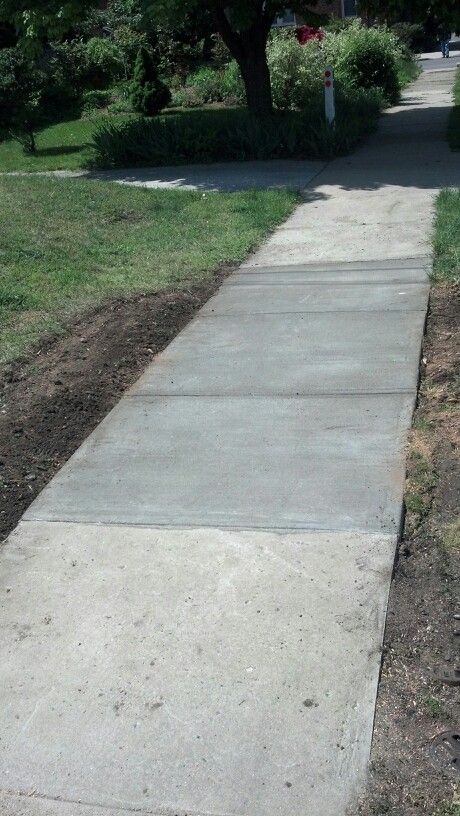 Section of concrete sidewalk replaced that a tree had lifted up Fixing Concrete Walkway, Recycled Concrete Walkway, How To Clean Concrete Sidewalk, Picture Frame Concrete Sidewalk, Pressed Concrete Driveway, Concrete Sidewalk, A Tree