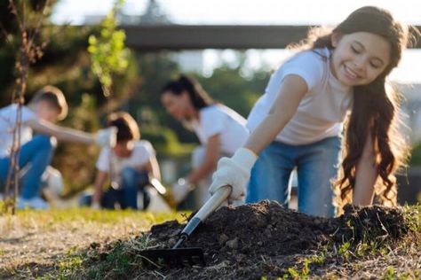 20 Girl Scout Bronze Award Project Ideas | Scout It Up Bronze Award Ideas, Buddy Bench, Places To Volunteer, Service Projects For Kids, Girl Scout Bridging, Plant Activities, Girl Scout Activities, Award Ideas, Scout Badges