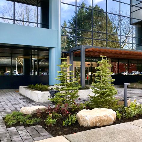 A pacific northwest style landscape against the backdrop of a modern structure accentuates both at this corporate park in Seattle, WA Pacific Northwest Style, Coastal Exterior, Indoor Trees, Easy Landscaping, Outdoor Inspirations, Pacific Northwest, Native Plants, Front Yard, Exterior Design