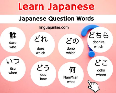 How to Ask Questions in Japanese: Casual & Formal Ways What In Japanese, How To Say In Japanese, Questions In Japanese, Question In Japanese, Japanese Particles, Basic Japanese Phrases, Japanese Adjective Conjugation, Japanese Common Phrases, Basic Japanese Words