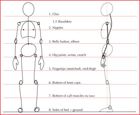 Human+Body+Proportions | Proportion Reminders Figure Proportions, Body Layout Drawing, Full Body Proportions, Body Dimensions, Proportion Practice Drawing, Body Construction Drawing, Fundamentals Of Drawing, Body Proportions Drawing Pose Reference, Human Body Porpotion