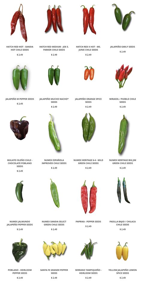 Get seeds for the famous Hatch Green Chile, Poblano, Big Jim and other green and red chiles. These chiles are great in green chile stews, chile rellenos, salsas, hot sauces, and so much more. Looking for Hatch Green Chile seeds? You've come to the right place. Chile peppers are EASY to grow from seed! Learn How to grow green chiles in your garden click here. Red And Green Peppers, Grow Peppers, High Calorie Diet, Green Chile Stew, Types Of Peppers, Herbalife Shake Recipes, Eating Less, Hatch Green Chile, Chile Poblano