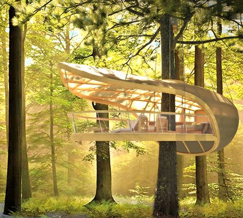 Built with sustainable timber and sailboat\u002Dbuilding techniques, these stunning treehouses will form part of a forest villa in a eco\u002Dresort in Ontario, Canada. Treehouse Villas, Tree House Interior, Simple Tree House, Modern Tree House, Canadian Forest, Cool Tree Houses, Tree House Designs, Green Architecture, Trendy Tree