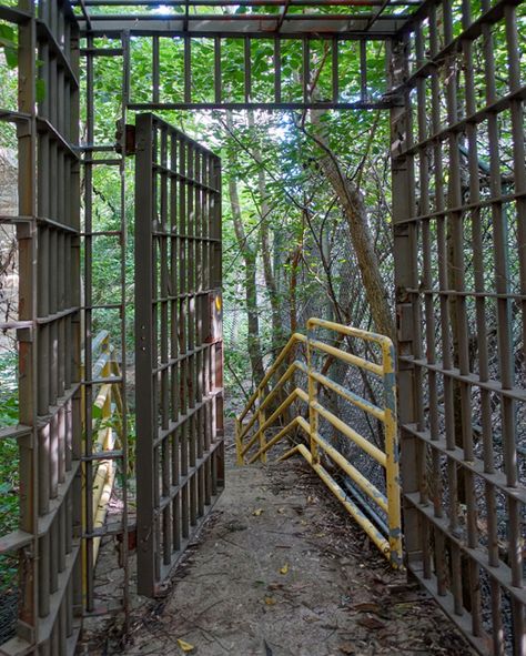 Joliet Prison, Haunted Prison, Abandoned Prisons, Wrought Iron Staircase, Haunting Beauty, Old Abandoned Buildings, Iron Staircase, Limestone Wall, Prison Break